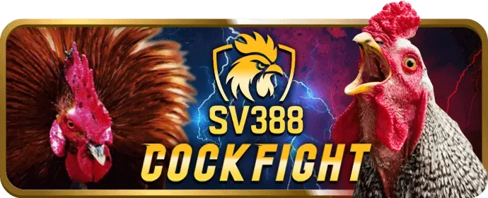 Hệ thống theo dõi vin88 nhà cái